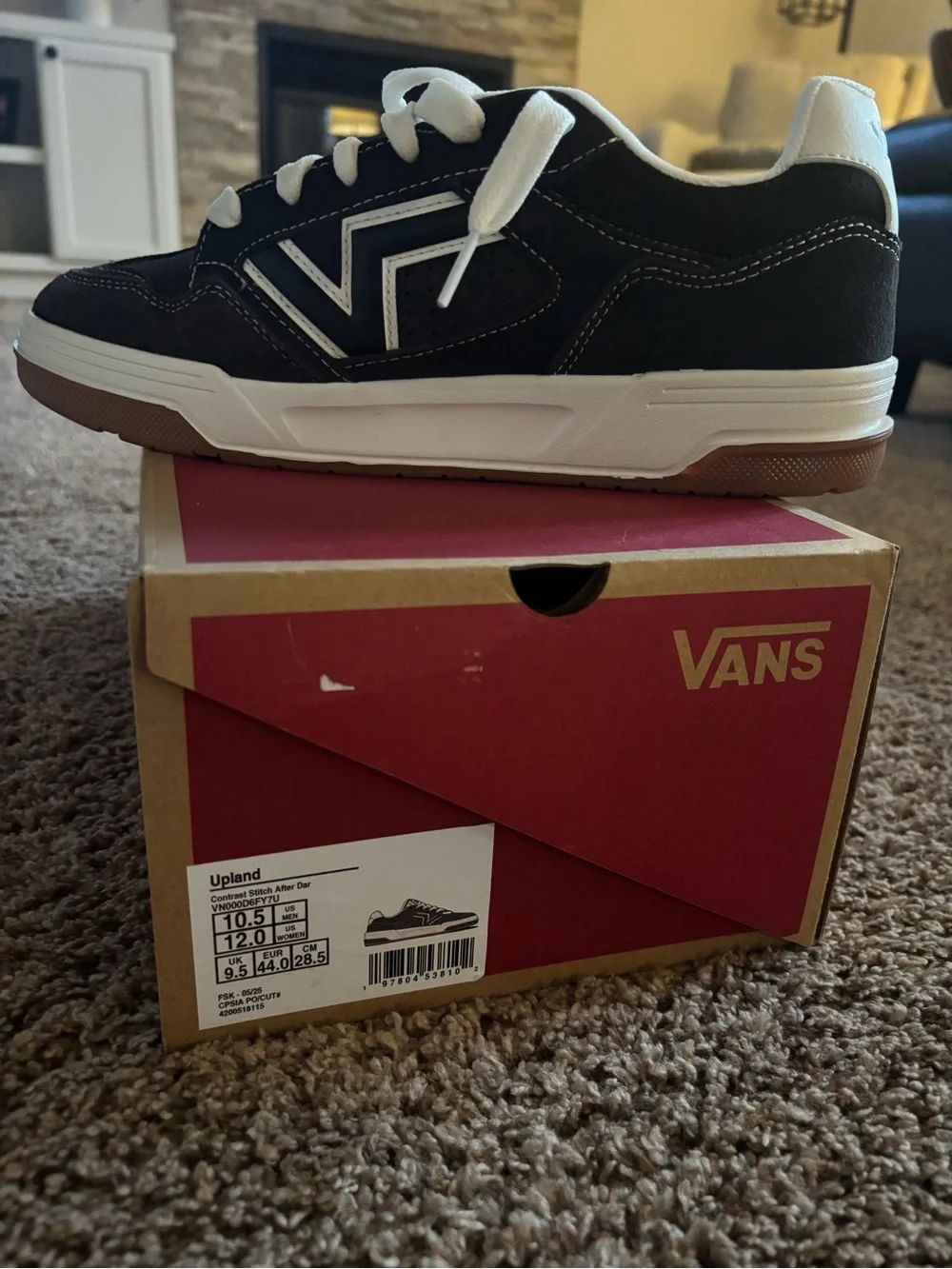 Vans Black and White Low-Top Skate Sneakers